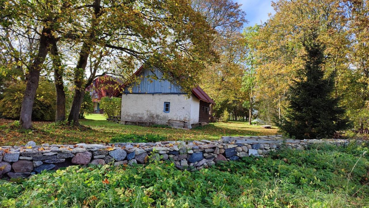 Viini Puhkemaja Pensionat Mustjala Eksteriør billede